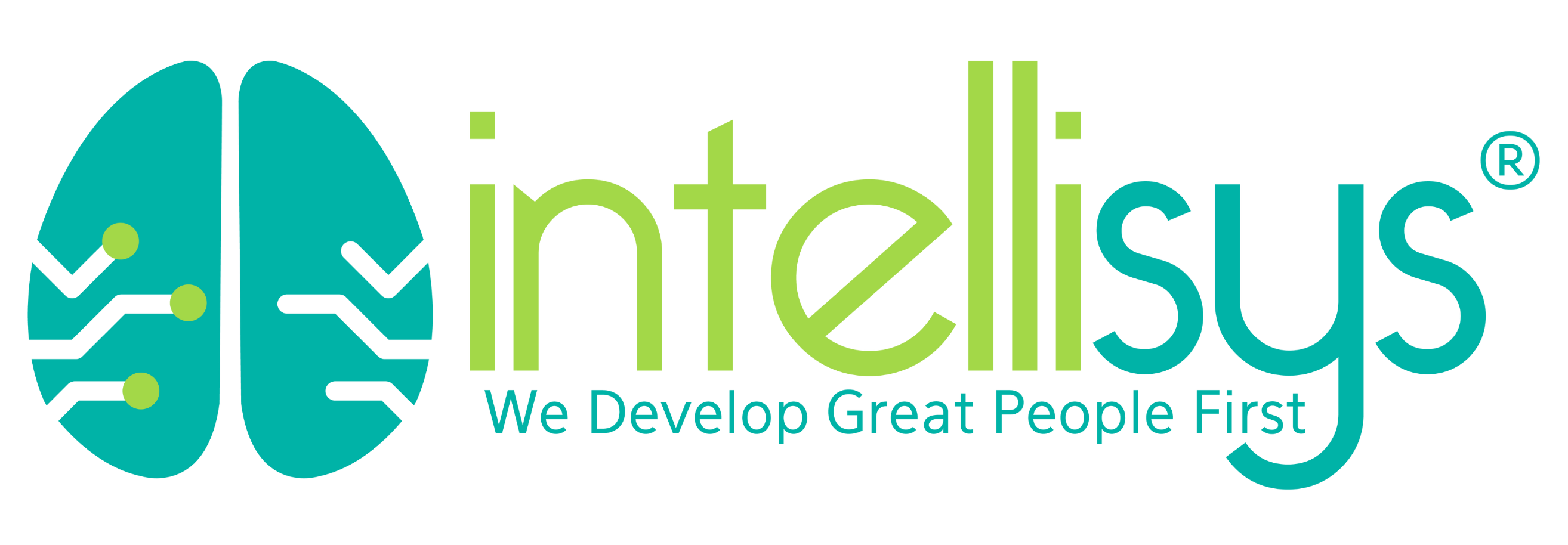 Intellisys D Corp